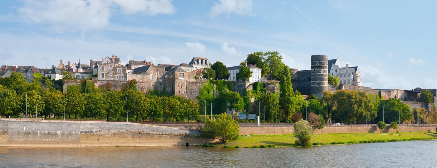 Discover Angers' wine side